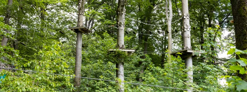Baumkronenpfad Gesamtansicht