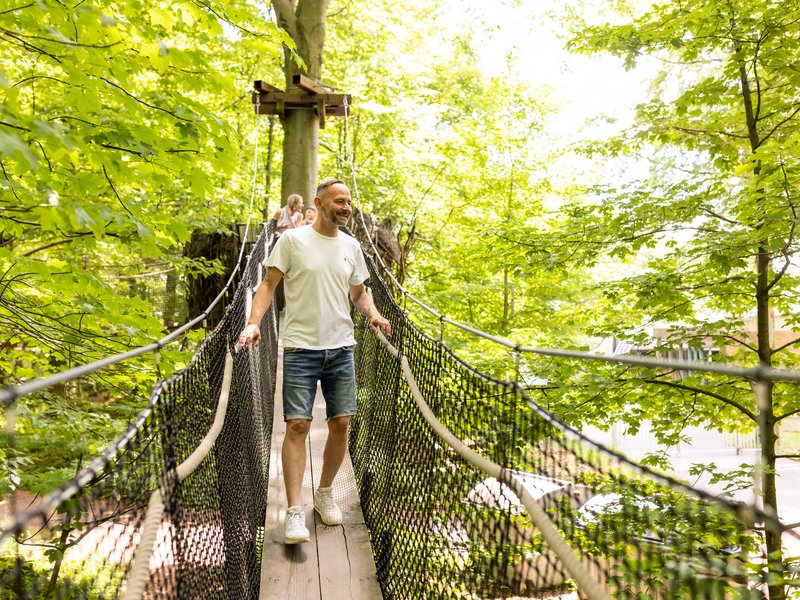 Baumkronenpfad Hoherodskopf erleben