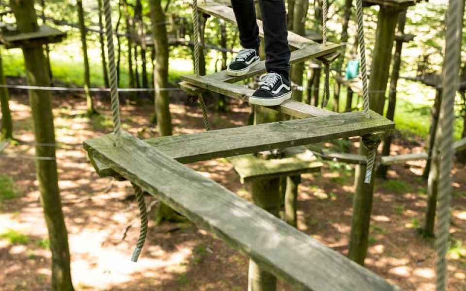 Kletterwald Hoherodskopf Parcours