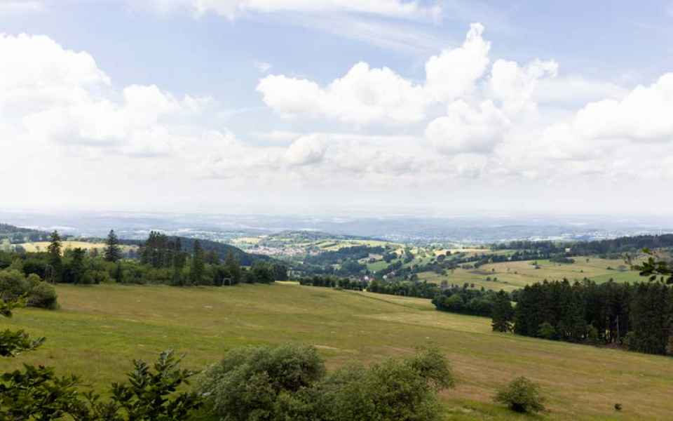 Baumkronenpfad Hoherodskopf 6